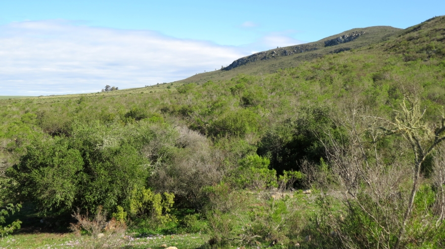 Commercial Property for Sale in Swellendam Rural Western Cape